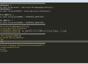 从入门到精通：Linux终端查看Java版本的全方位教程