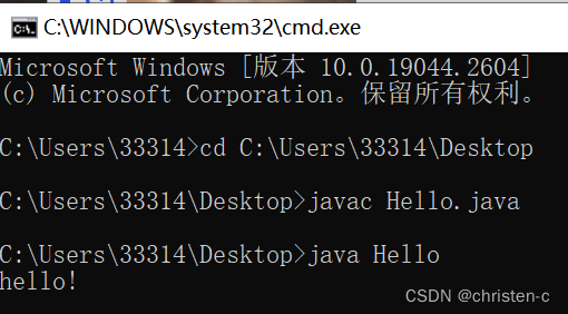 从Sun到Oracle：Java生态系统的进化史与未来十年技术展望